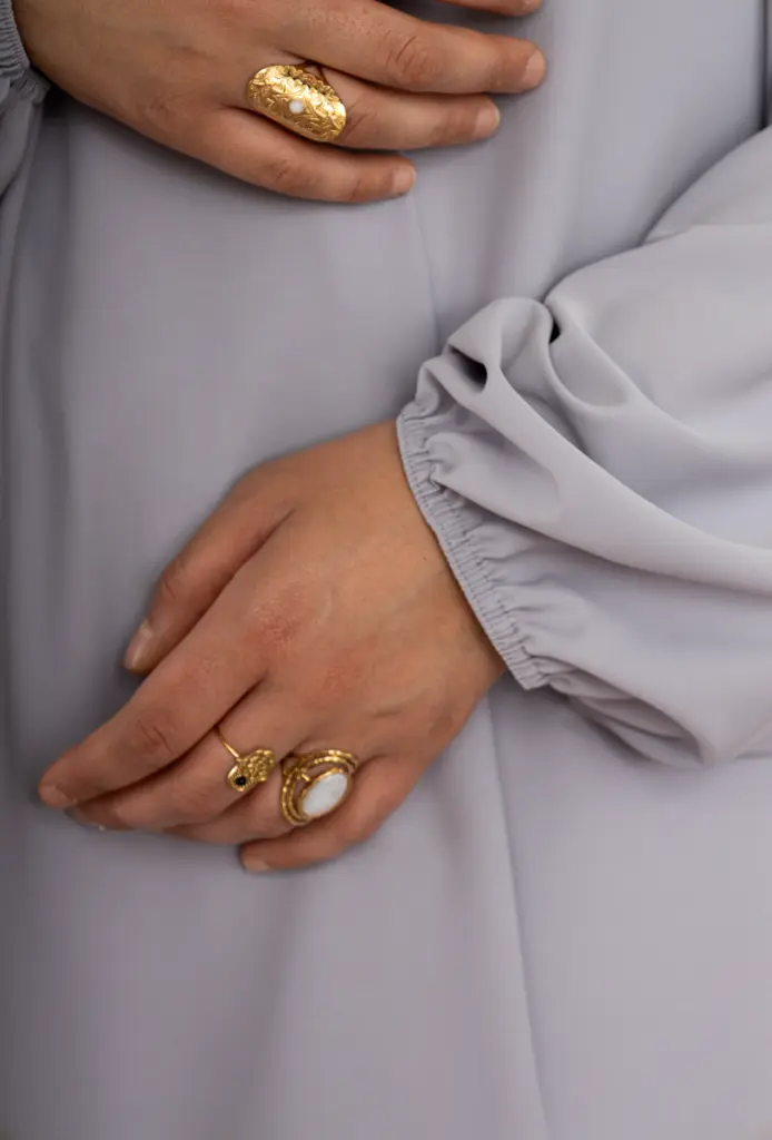 PFS (316 sur 451).webp